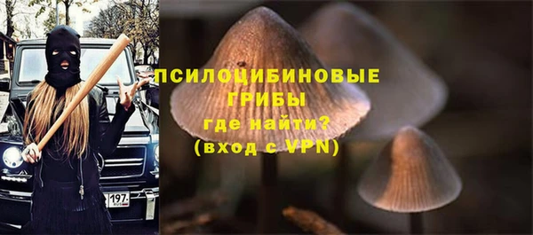 дурь Няндома