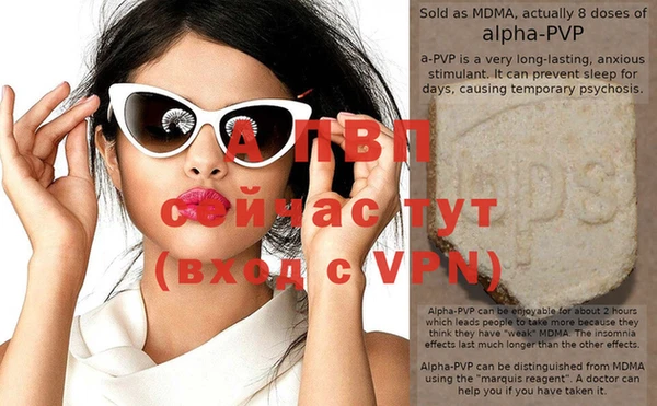 дурь Няндома