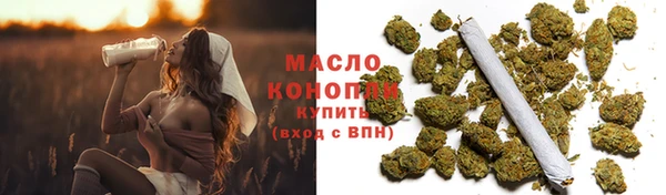 дурь Няндома