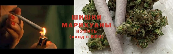 дурь Няндома