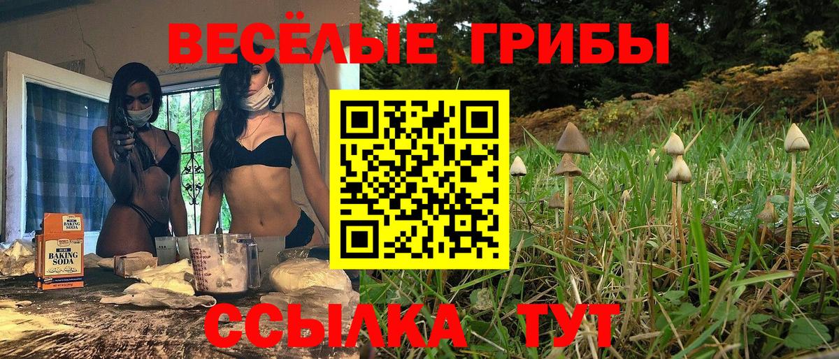 Галлюциногенные грибы Magic Shrooms  Вход с VPN  Борзя  Галлюциногенные грибы прущие грибы 
